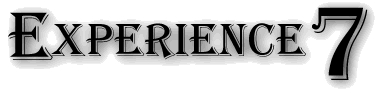 Experience7